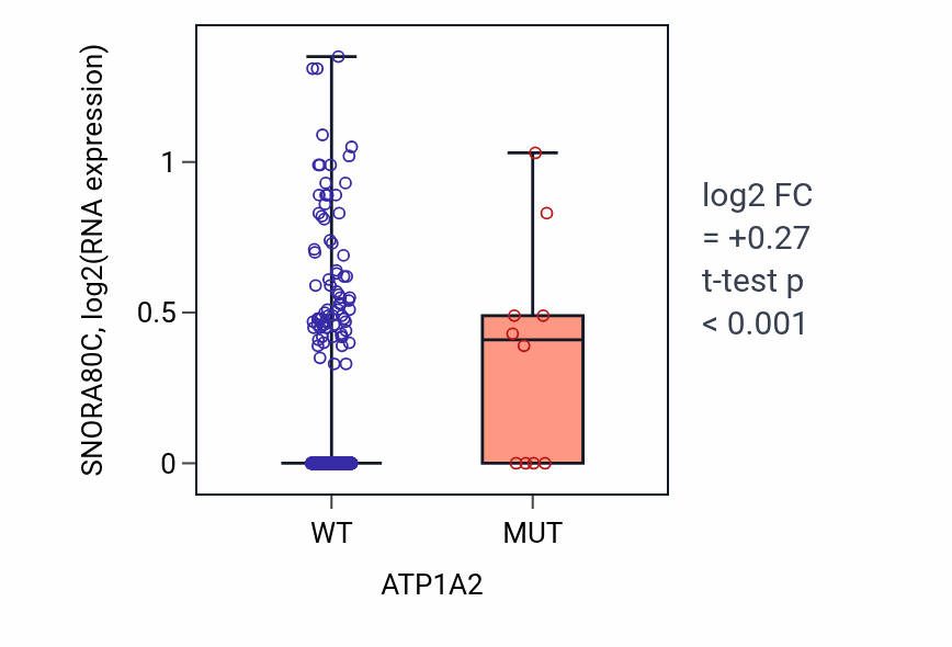 Box plot of SNORA80C in ATP1A2-low vs ATP1A2-high samples in HNSC.