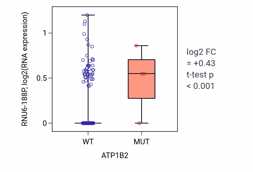Box plot of RNU6-188P in ATP1B2-low vs ATP1B2-high samples in HNSC.