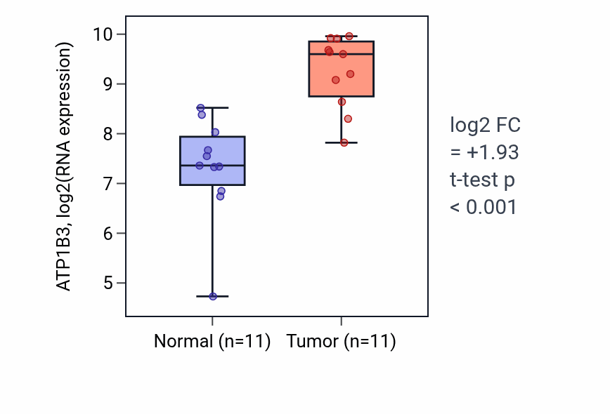 Tumor-vs-normal expression box plot for ATP1B3 in HNSC.