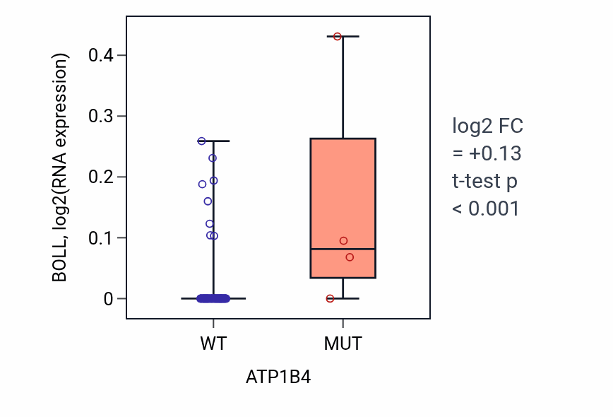 Box plot of BOLL in ATP1B4-low vs ATP1B4-high samples in SCLC.