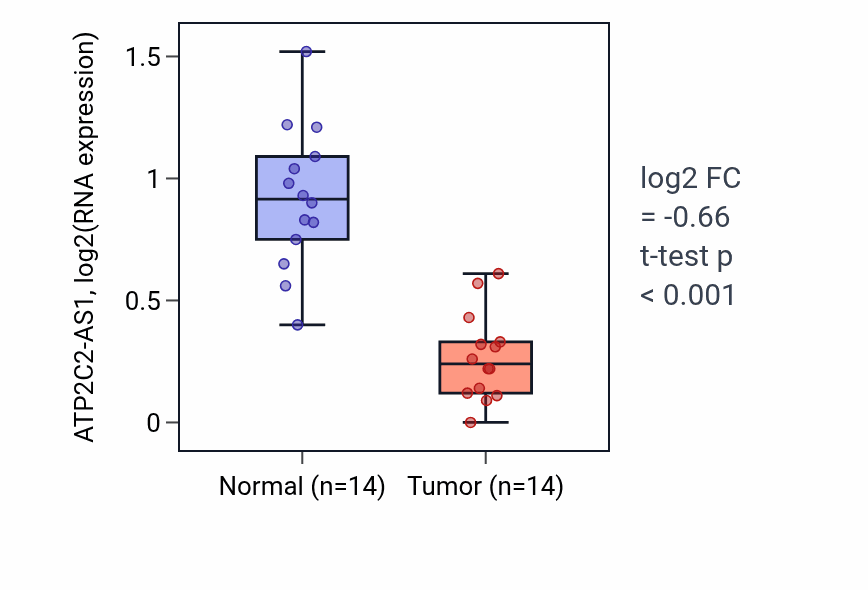 Tumor-vs-normal expression box plot for ATP2C2-AS1 in THCA.