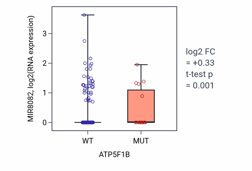 Box plot of MIR8082 in ATP5F1B-low vs ATP5F1B-high samples in UCEC.