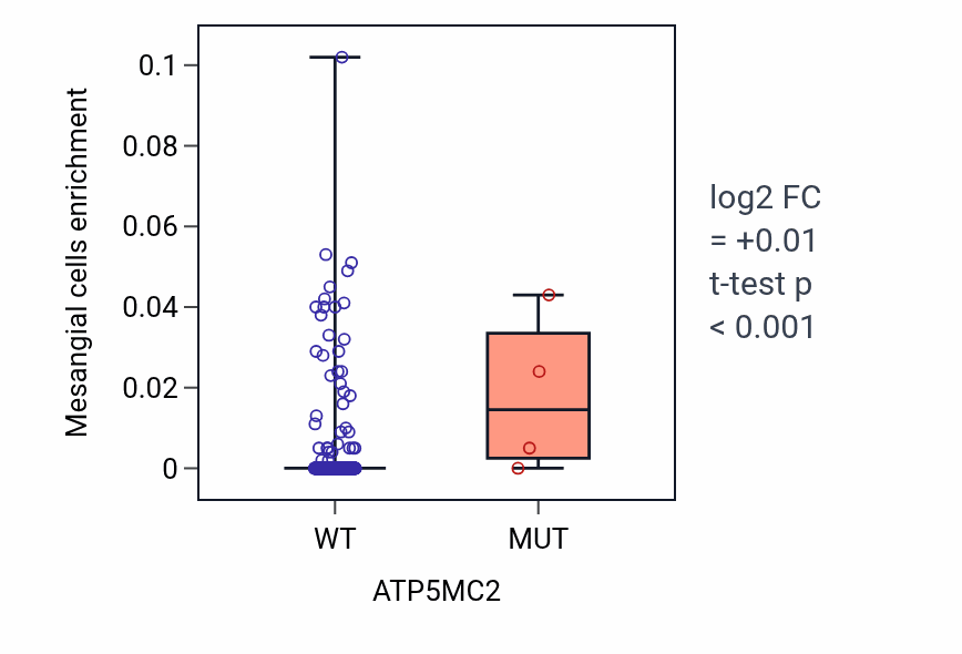 Box plot of Mesangial cells in ATP5MC2-low vs ATP5MC2-high samples in SKCM.