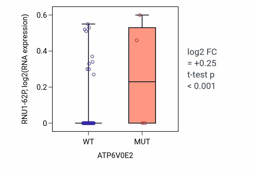 Box plot of RNU1-62P in ATP6V0E2-low vs ATP6V0E2-high samples in CESC.
