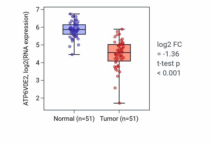 Tumor-vs-normal expression box plot for ATP6V0E2 RNA in KIRC.