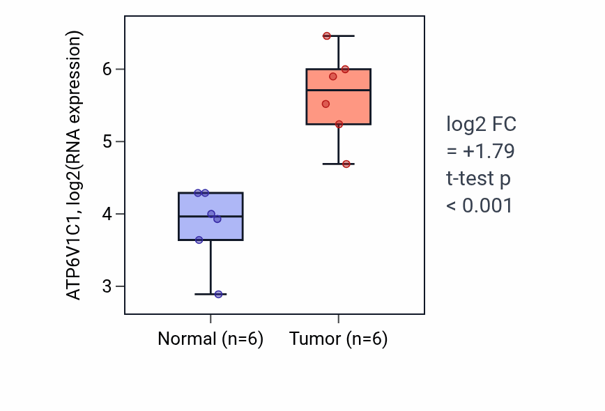 Tumor-vs-normal expression box plot for ATP6V1C1 in HNSC.