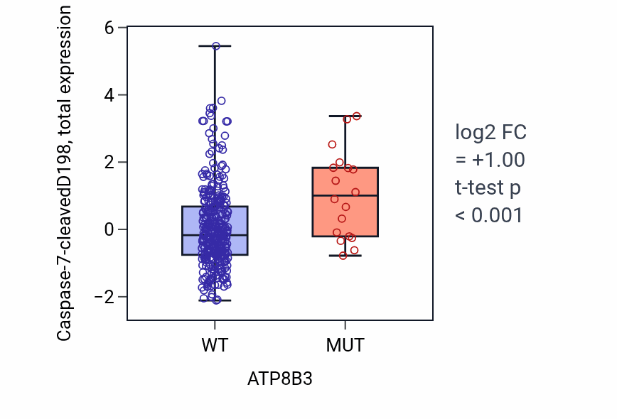 Box plot of Caspase-7-cleavedD198 in ATP8B3-low vs ATP8B3-high samples in COAD.