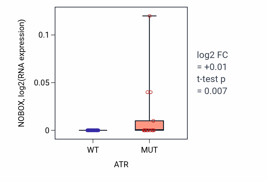 Box plot of NOBOX in ATR-low vs ATR-high samples in LUNG_SCLC.