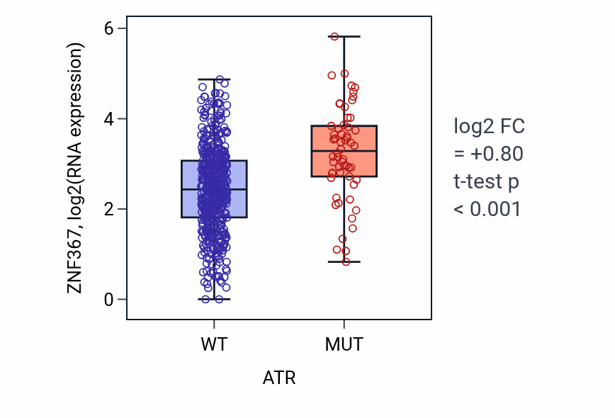 Box plot of ZNF367 in ATR-low vs ATR-high samples in UCEC.