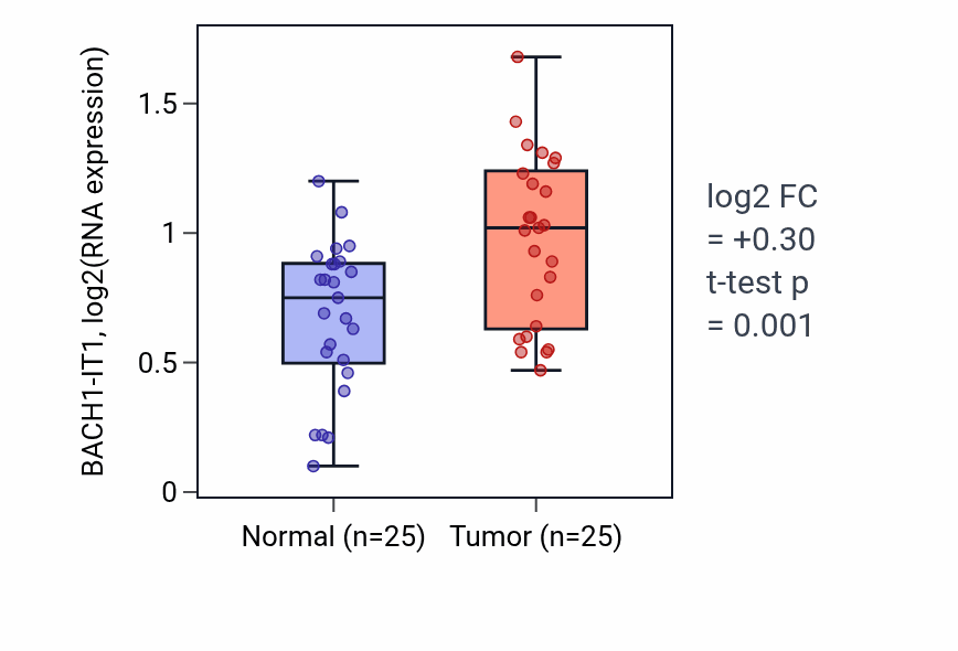 Tumor-vs-normal expression box plot for BACH1-IT1 in HNSC.
