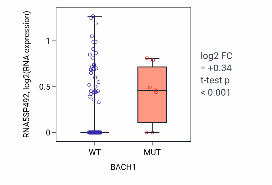 Box plot of RNA5SP492 in BACH1-low vs BACH1-high samples in CESC.