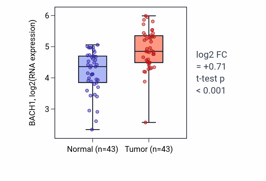 Tumor-vs-normal expression box plot for BACH1 in HNSC.