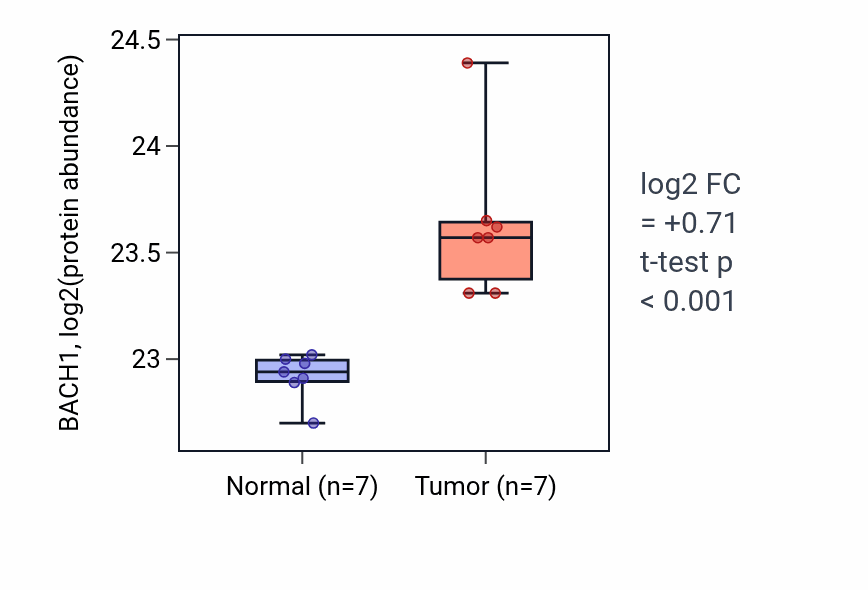 Tumor-vs-normal mass-spec protein box plot for BACH1 in CCRCC.