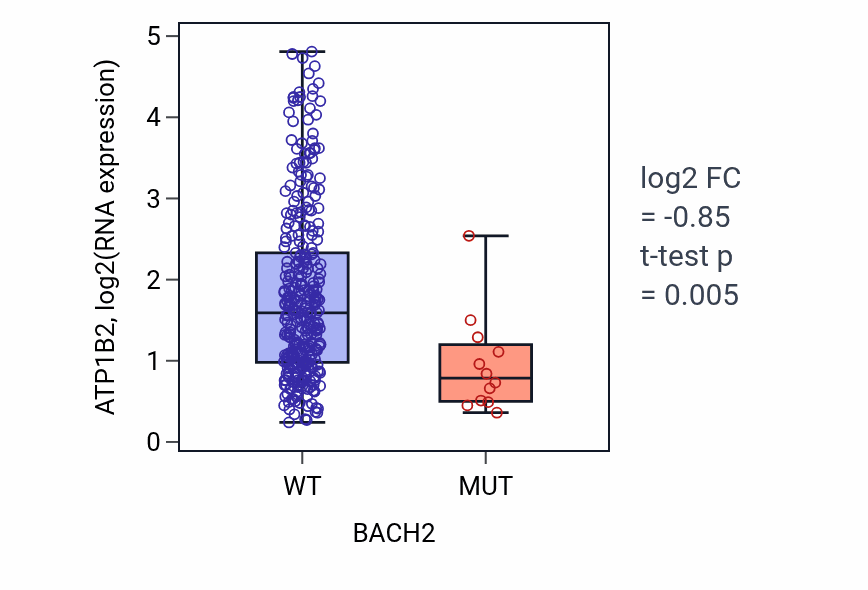 Box plot of ATP1B2 in BACH2-low vs BACH2-high samples in STAD.