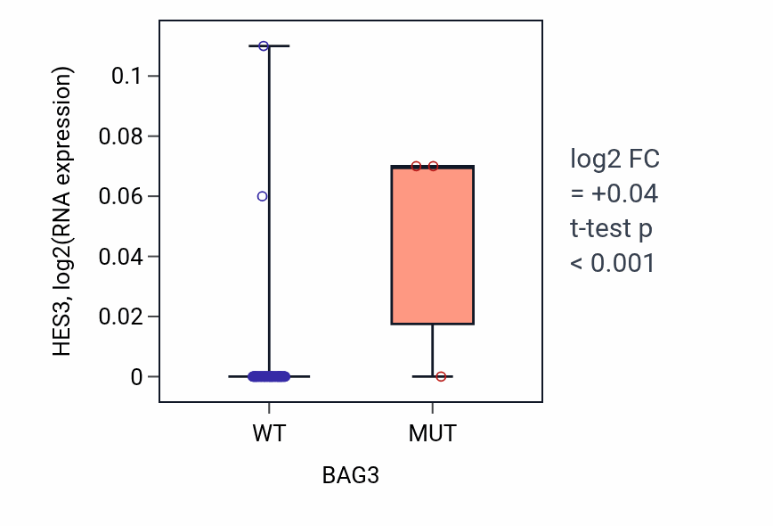 Box plot of HES3 in BAG3-low vs BAG3-high samples in CNS.