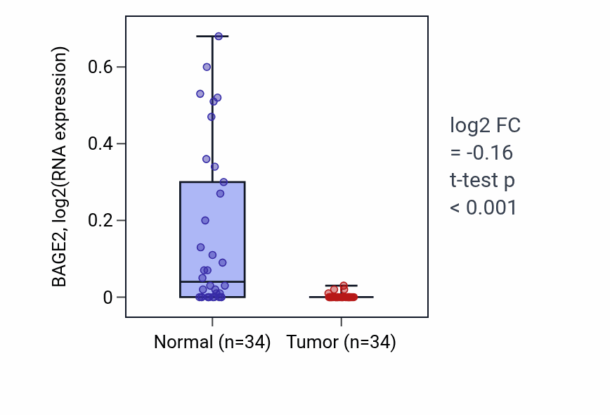 Tumor-vs-normal expression box plot for BAGE2 in KIRC.