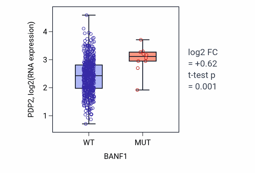 Box plot of PDP2 in BANF1-low vs BANF1-high samples in UCEC.