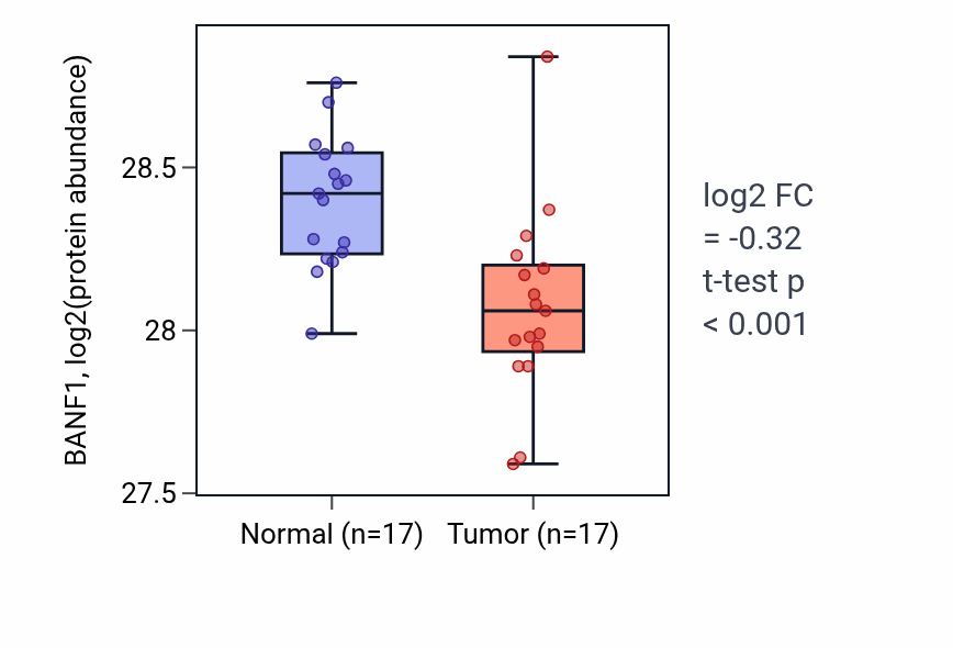 Tumor-vs-normal mass-spec protein box plot for BANF1 in LSCC.