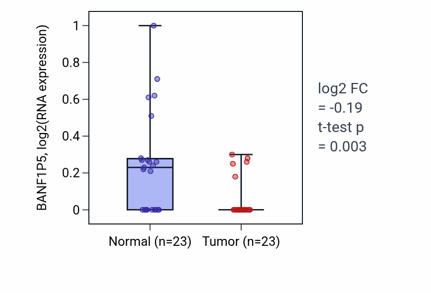 Tumor-vs-normal expression box plot for BANF1P5 in THCA.
