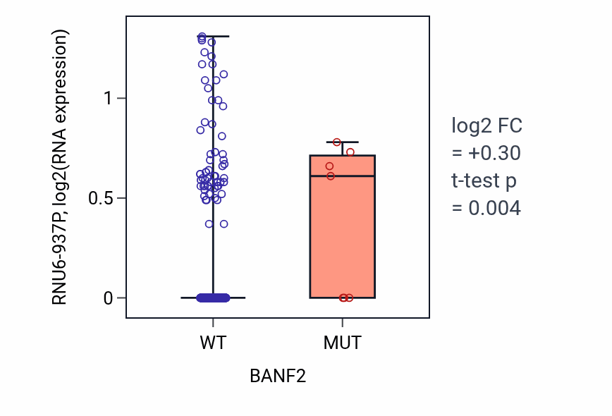 Box plot of RNU6-937P in BANF2-low vs BANF2-high samples in SKCM.