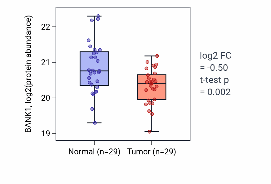 Tumor-vs-normal mass-spec protein box plot for BANK1 in HNSC.