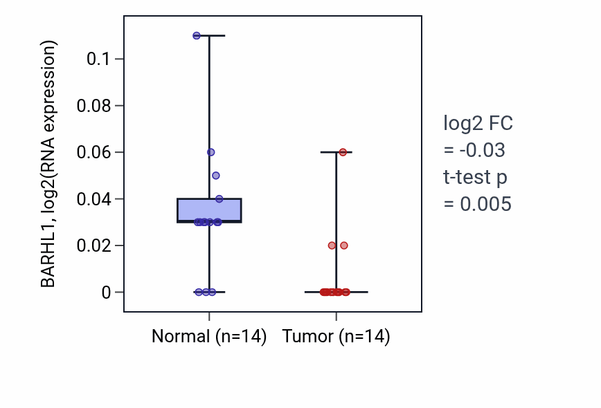 Tumor-vs-normal expression box plot for BARHL1 RNA in THCA.
