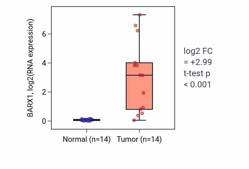 Tumor-vs-normal expression box plot for BARX1 RNA in LUSC.