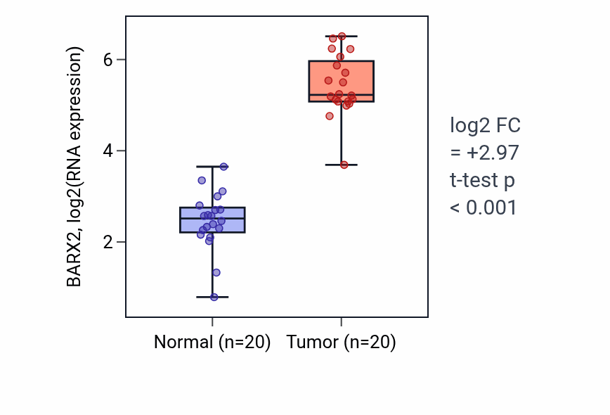 Tumor-vs-normal expression box plot for BARX2 in KIRC.