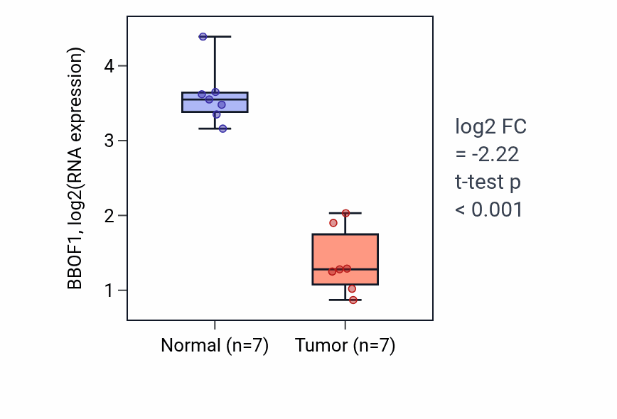 Tumor-vs-normal expression box plot for BBOF1 in KICH.