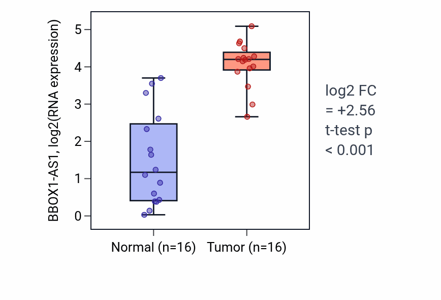 Tumor-vs-normal expression box plot for BBOX1-AS1 in HNSC.