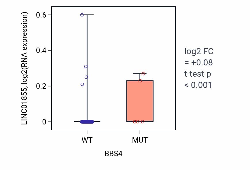Box plot of LINC01855 in BBS4-low vs BBS4-high samples in BLCA.