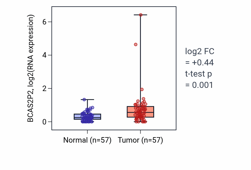 Tumor-vs-normal expression box plot for BCAS2P2 in LUAD.