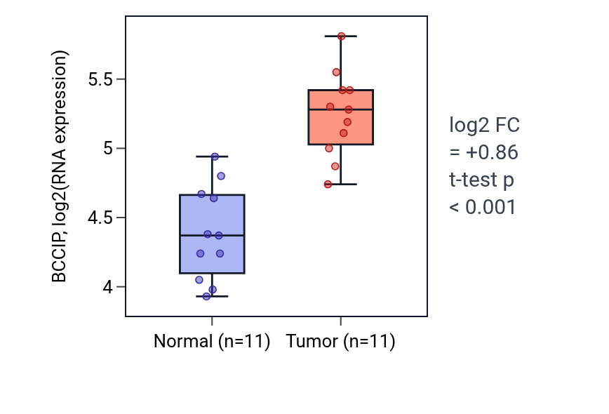 Tumor-vs-normal expression box plot for BCCIP in HNSC.