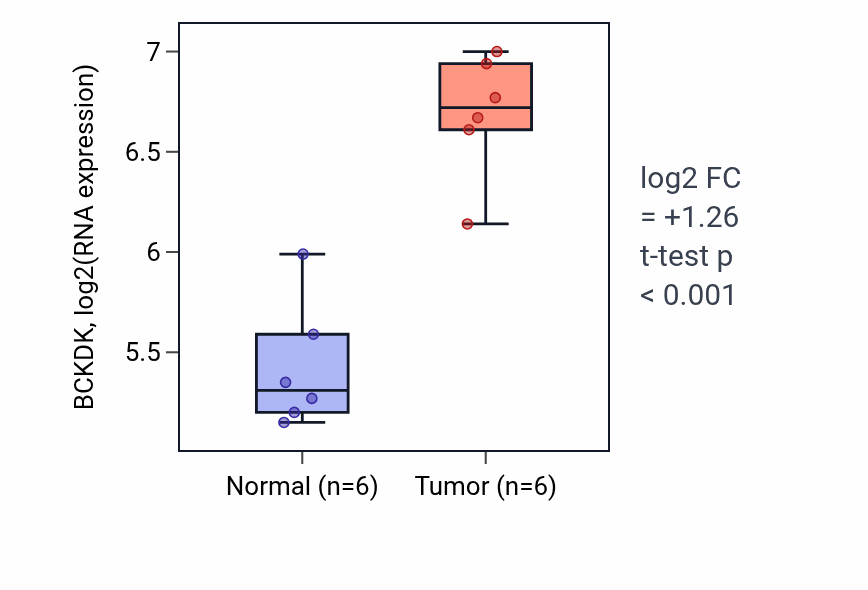 Tumor-vs-normal expression box plot for BCKDK in KIRC.