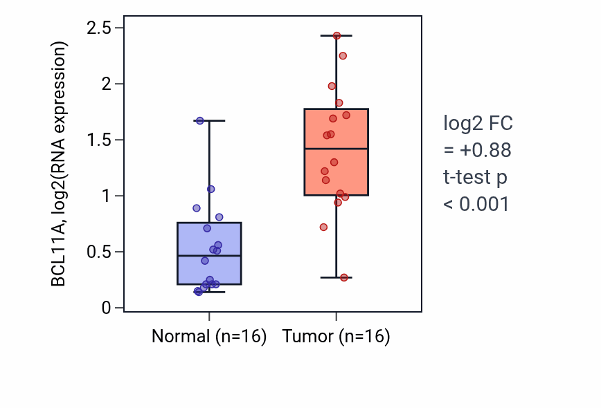 Tumor-vs-normal expression box plot for BCL11A in KIRP.