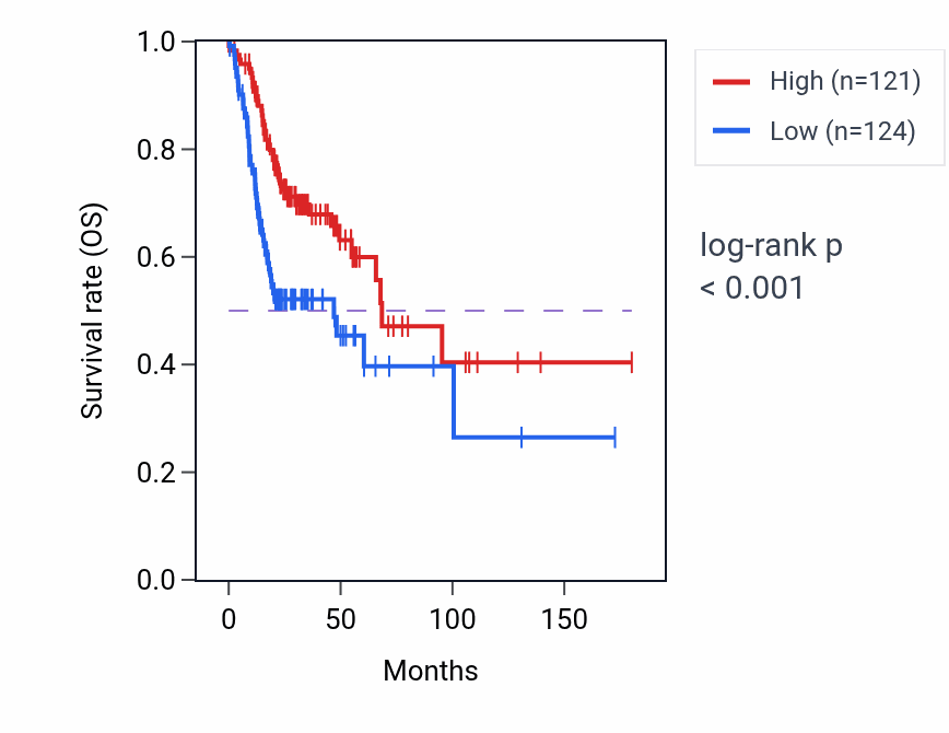 Kaplan&ndash;Meier survival curve for BCO1 RNA expression in HNSC: high vs low expression groups.