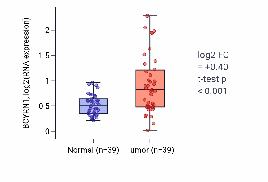Tumor-vs-normal expression box plot for BCYRN1 in COAD.