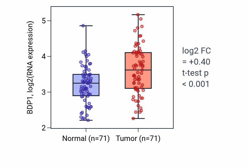 Tumor-vs-normal expression box plot for BDP1 in KIRC.
