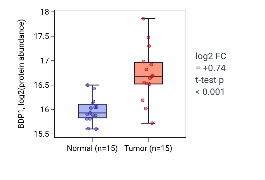 Tumor-vs-normal mass-spec protein box plot for BDP1 in HNSC.