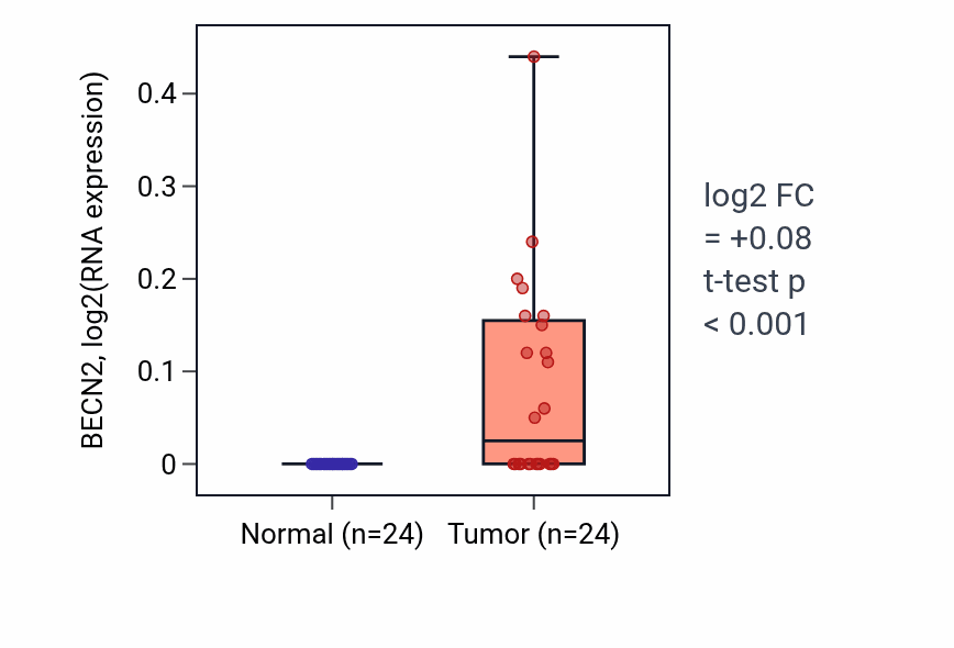 Tumor-vs-normal expression box plot for BECN2 in KIRC.