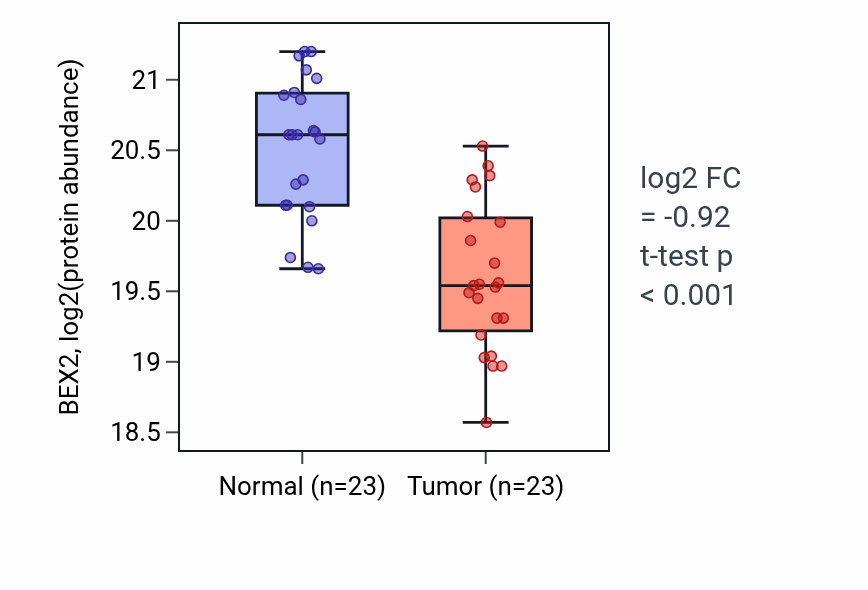Tumor-vs-normal mass-spec protein box plot for BEX2 in HNSC.