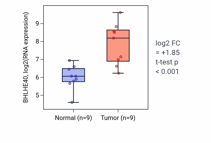 Tumor-vs-normal expression box plot for BHLHE40 RNA in THCA.
