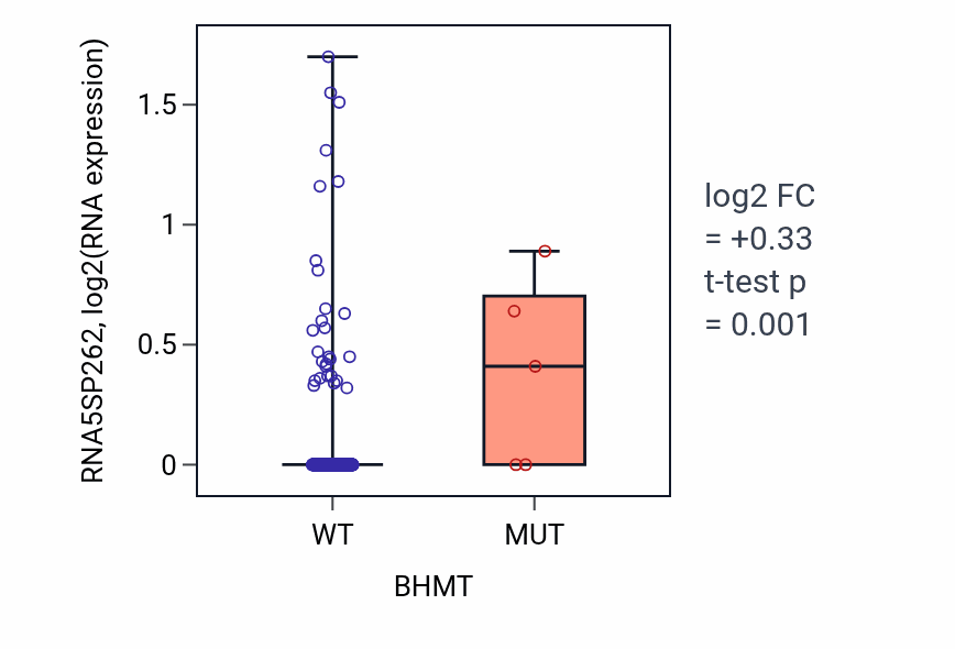 Box plot of RNA5SP262 in BHMT-low vs BHMT-high samples in STAD.