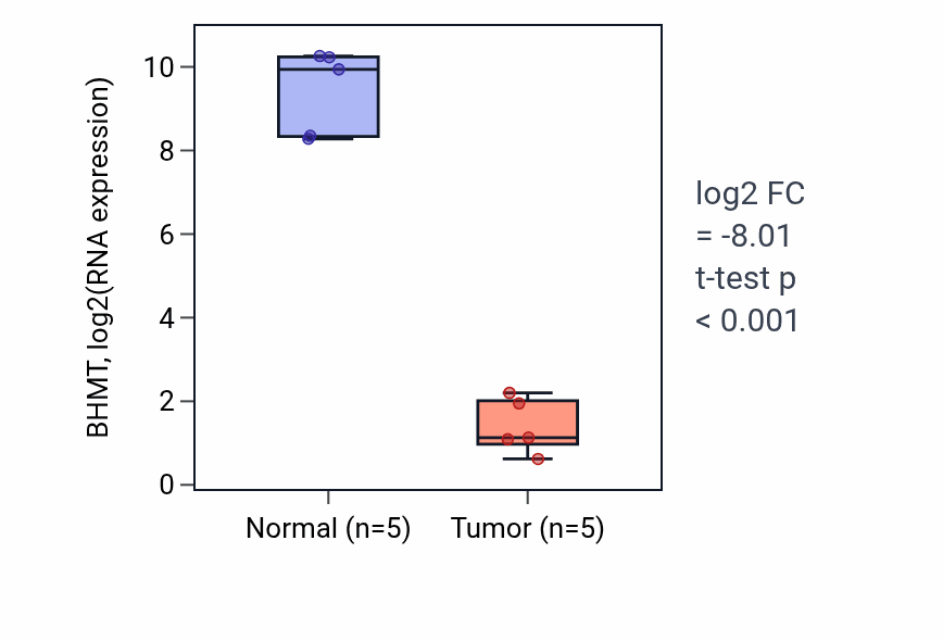 Tumor-vs-normal expression box plot for BHMT in KIRP.