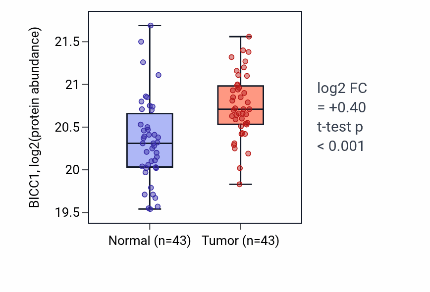 Tumor-vs-normal mass-spec protein box plot for BICC1 in HNSC.