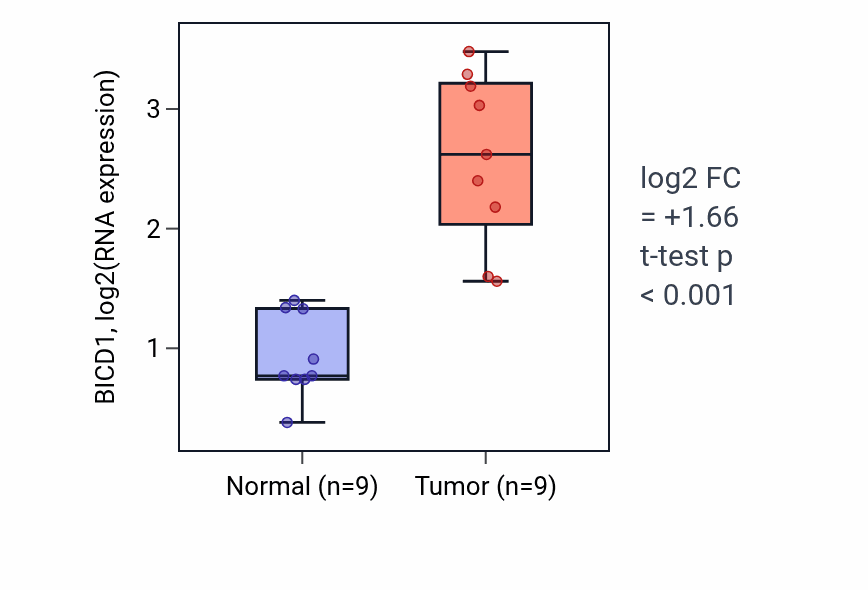 Tumor-vs-normal expression box plot for BICD1 RNA in HNSC.