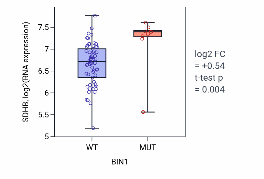 Box plot of SDHB in BIN1-low vs BIN1-high samples in LARGE_INTESTINE.