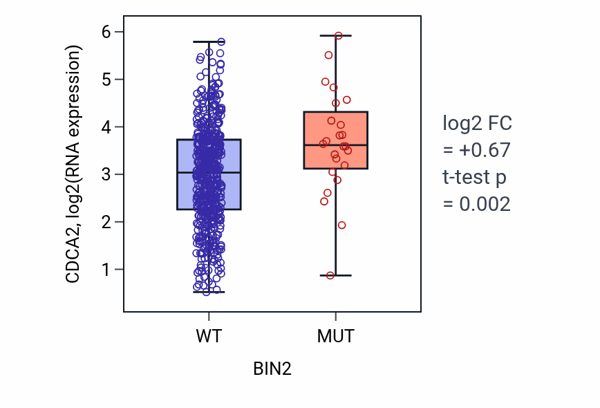 Box plot of CDCA2 in BIN2-low vs BIN2-high samples in UCEC.