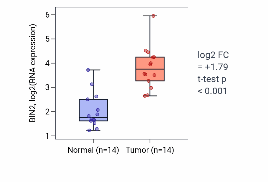 Tumor-vs-normal expression box plot for BIN2 in KIRC.