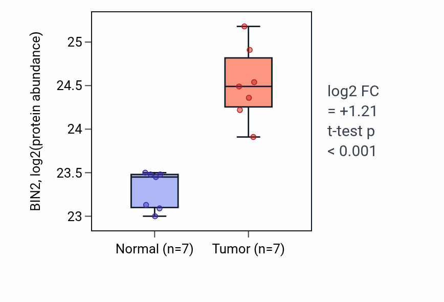 Tumor-vs-normal mass-spec protein box plot for BIN2 in CCRCC.